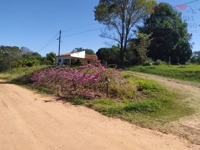 #1115 - Chácara para Venda em Dracena - SP - 1