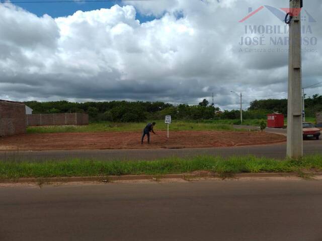 #1247 - Área para Venda em Junqueirópolis - SP - 3