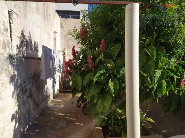 Casa para Venda em Dracena - 3