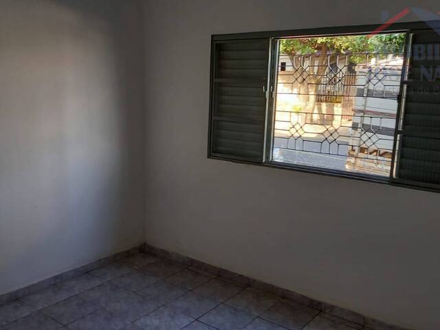 Casa para Locação em Dracena - 3