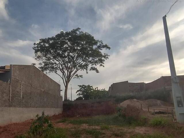 #1419 - Área para Venda em Dracena - SP