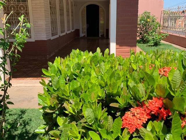 Casa para Venda em Dracena - 5