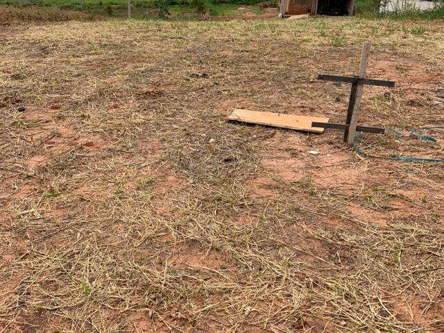 Área para Venda em Junqueirópolis - 4