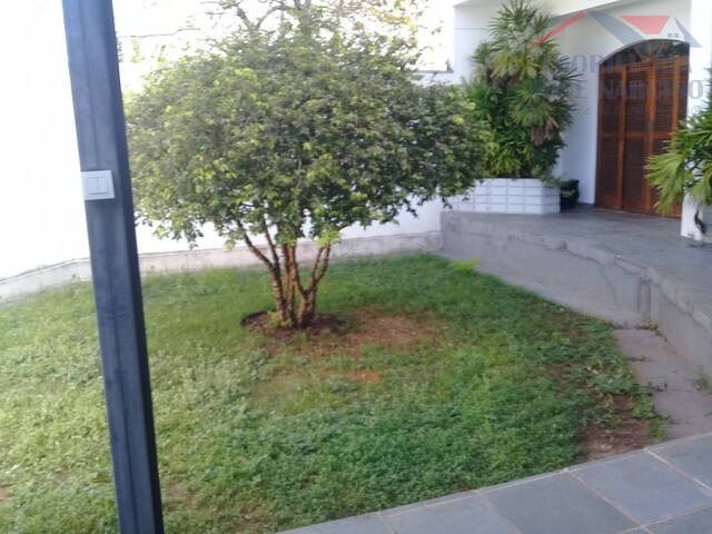 Casa para Locação em Dracena - 4
