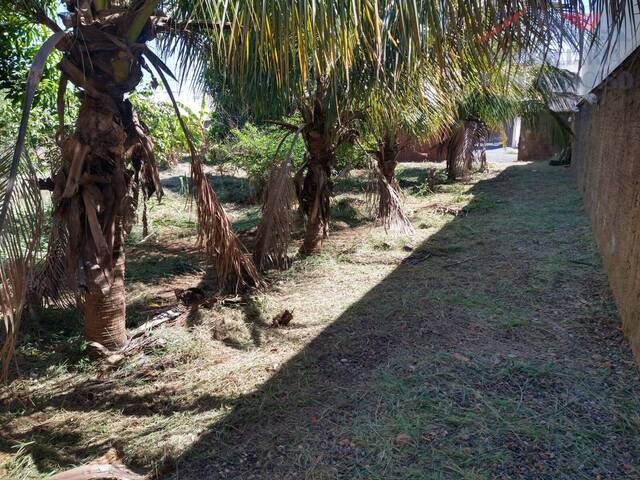 Área para Venda em Tupi Paulista - 4