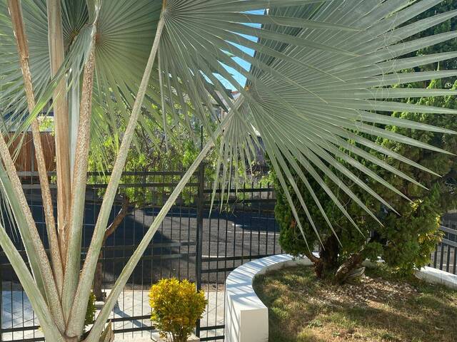 Casa para Locação em Dracena - 5