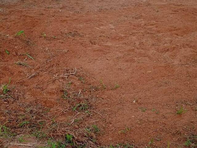Venda em CAMPO BELO 3 - Dracena