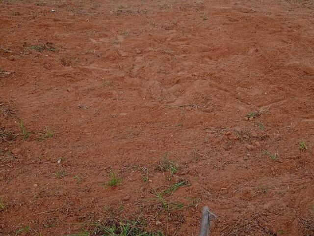 #2342 - Área para Venda em Dracena - SP - 2