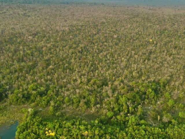 #2353 - Fazenda para Venda em Santa Rita do Pardo - MS - 3