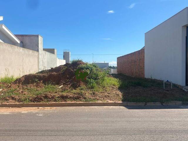 #2359 - Área para Venda em Dracena - SP - 1