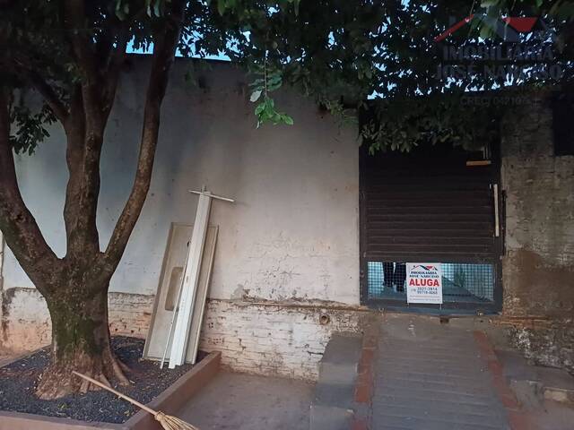 #2394 - Casa para Locação em Dracena - SP - 1