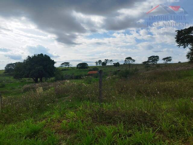 #2395 - Chácara para Venda em Irapuru - SP - 3