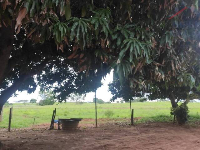 #2399 - Chácara para Venda em Dracena - SP - 3