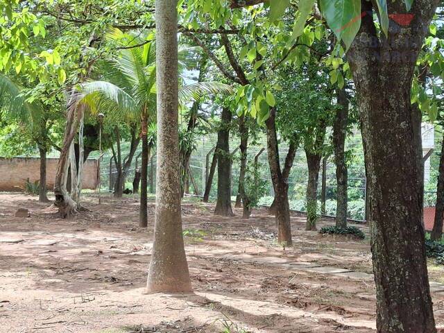 #2459 - Casa para Venda em Dracena - SP - 2