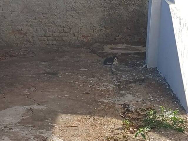 Casa para Locação em Dracena - 4