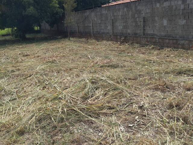 #2476 - Área para Venda em Panorama - SP - 1