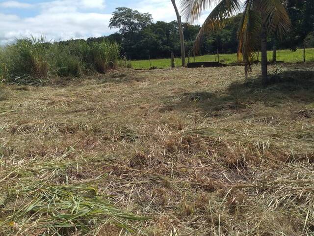 #2476 - Área para Venda em Panorama - SP - 3