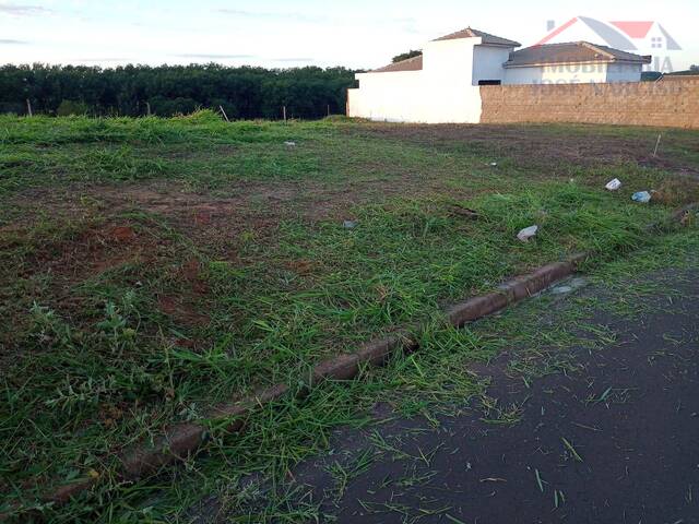 #2575 - Área para Venda em Dracena - SP - 1