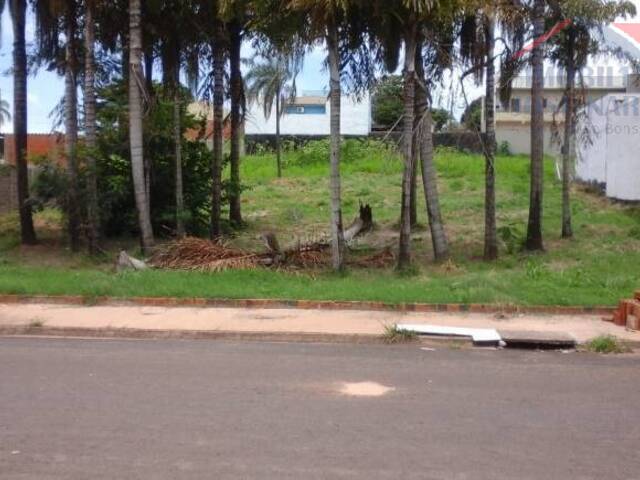 #48 - Lote para Venda em Dracena - SP - 3